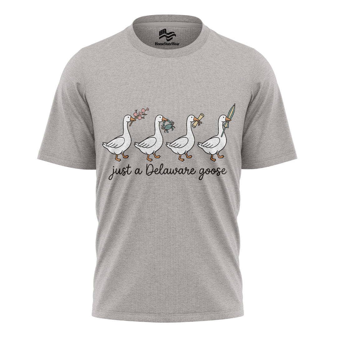 Delaware Goose Comfort Colors Tee | Whimsical Bird Graphic Shirt