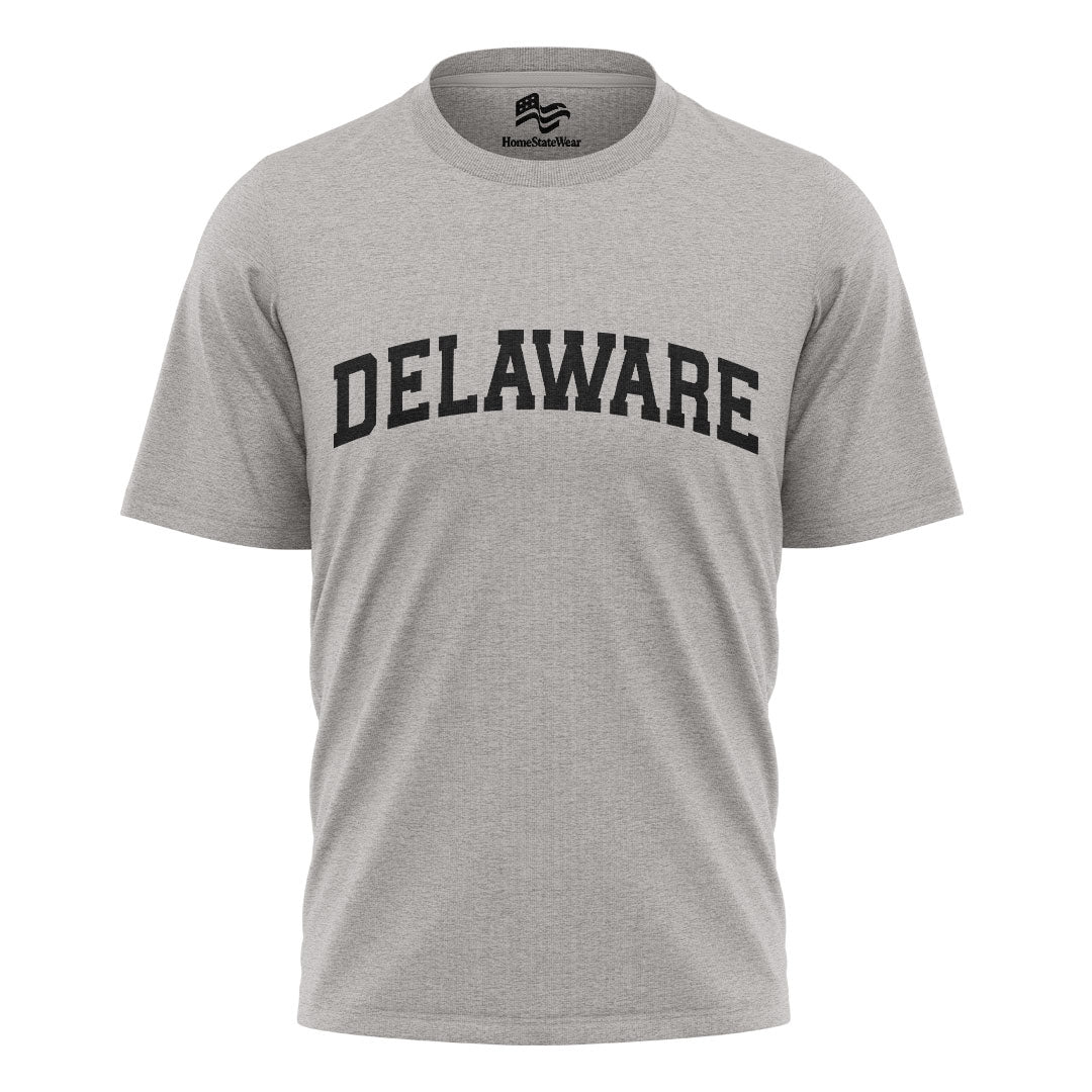 Delaware Comfort Colors Tee | State Pride Souvenir Shirt