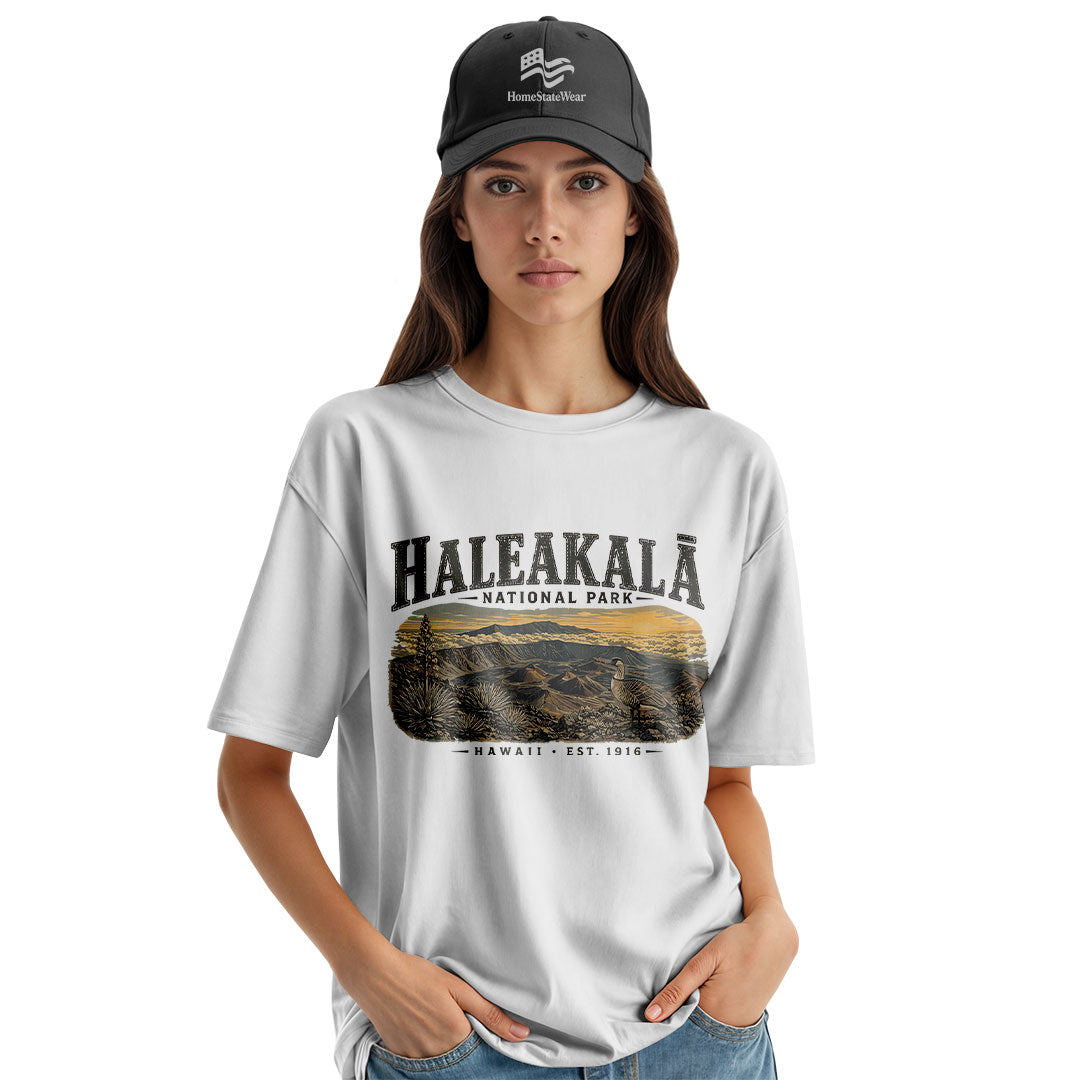 Haleakala National Park Vintage Maui Volcano Sunset Shirt