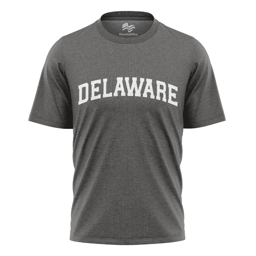 Delaware Comfort Colors Tee | State Pride Souvenir Shirt
