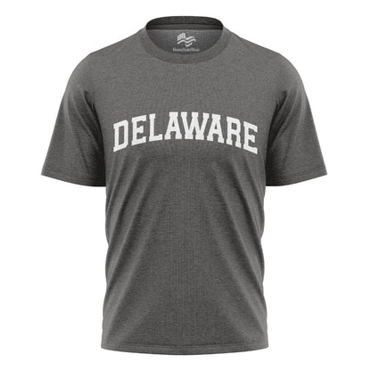 Delaware Comfort Colors Tee | State Pride Souvenir Shirt