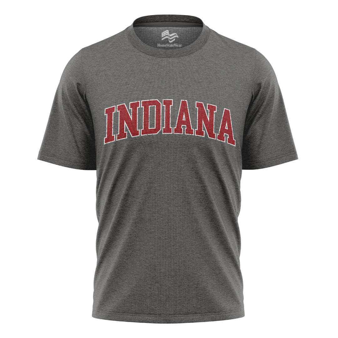 Indiana Varsity Comfort Colors T-Shirt, Distressed Football Graphic Tee