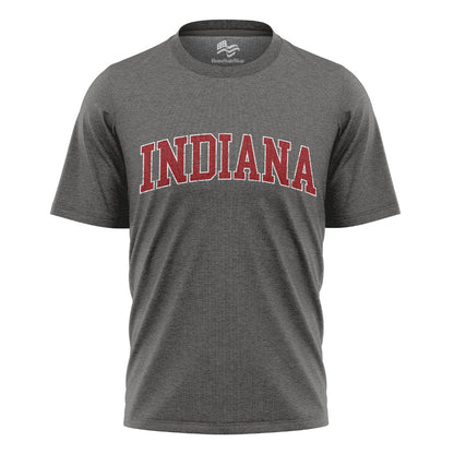 Indiana Varsity Comfort Colors T-Shirt, Distressed Football Graphic Tee