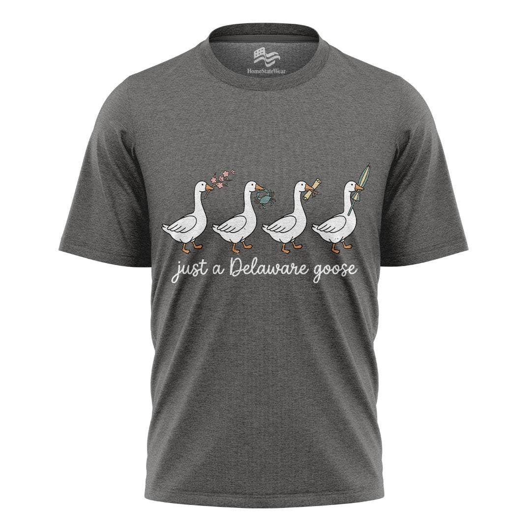Delaware Goose Comfort Colors Tee | Whimsical Bird Graphic Shirt