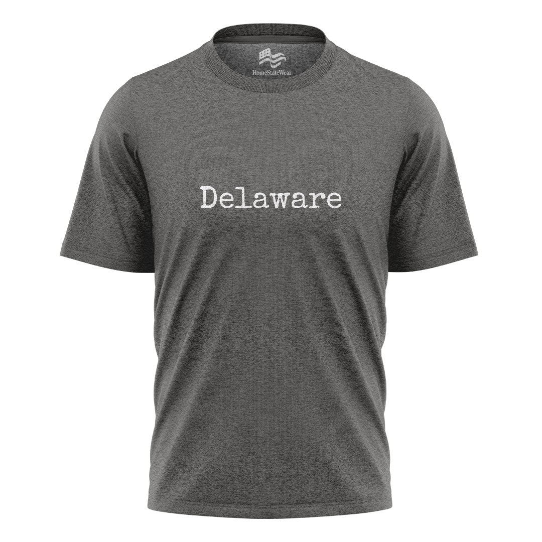 Delaware Comfort Colors Tee | Retro Beach State Shirt