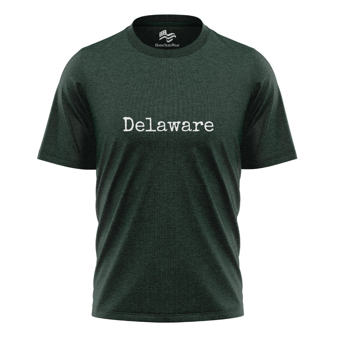 Delaware Comfort Colors Tee | Retro Beach State Shirt