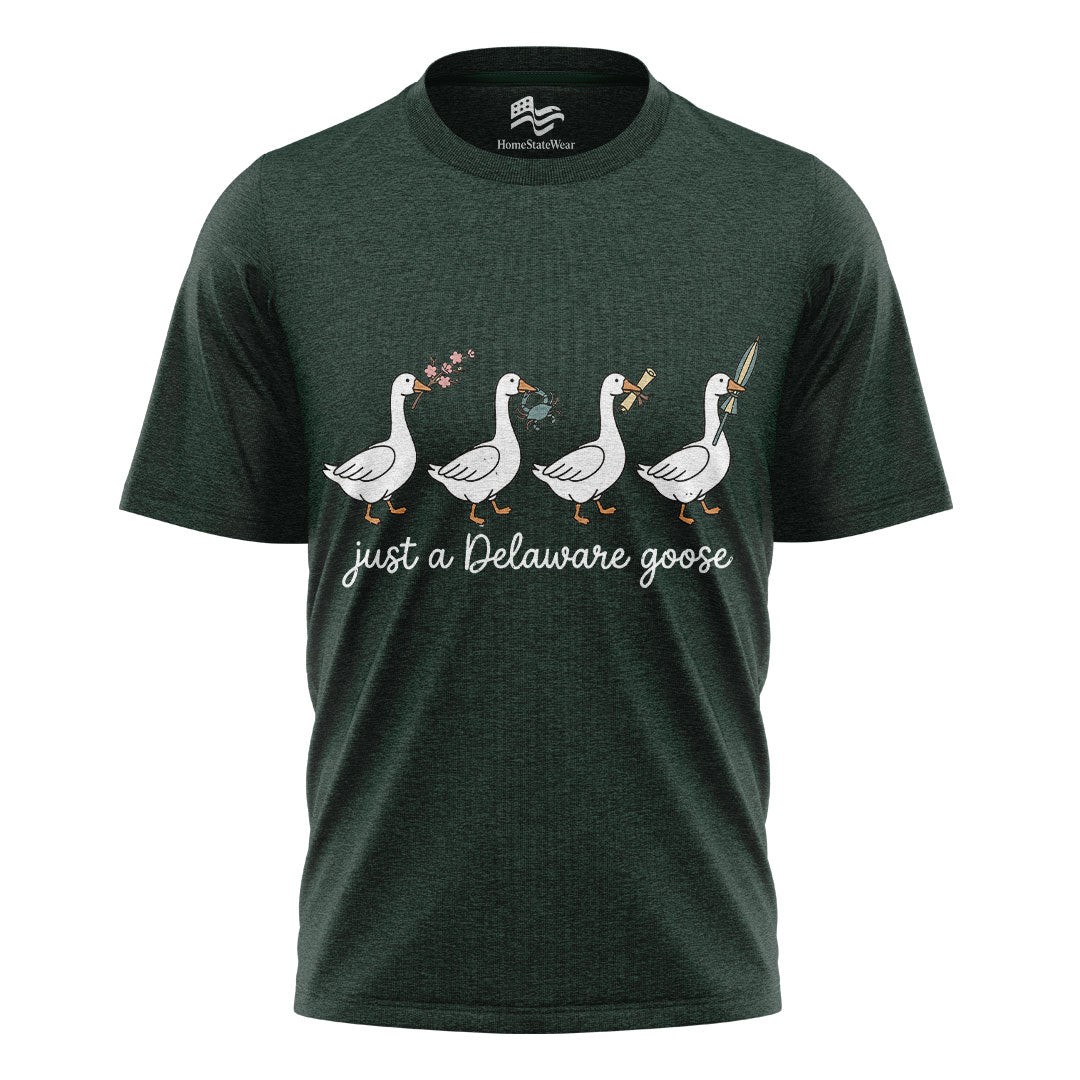 Delaware Goose Comfort Colors Tee | Whimsical Bird Graphic Shirt