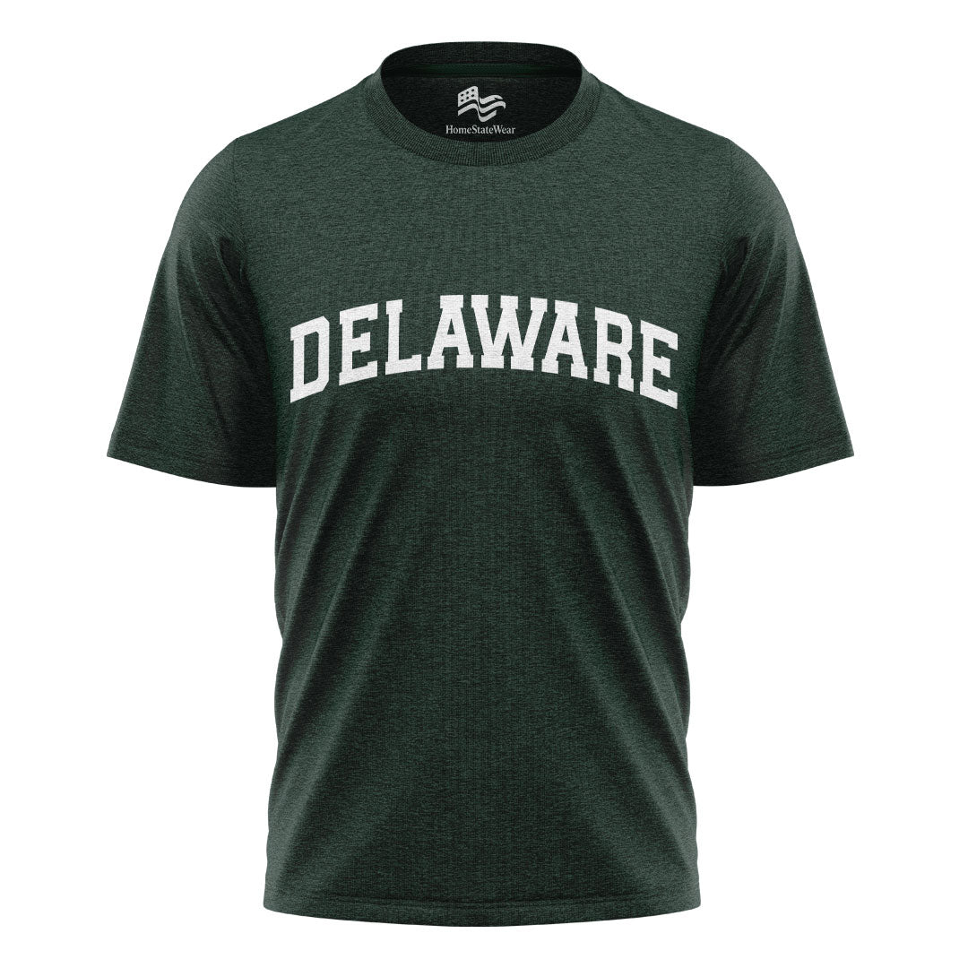 Delaware Comfort Colors Tee | State Pride Souvenir Shirt