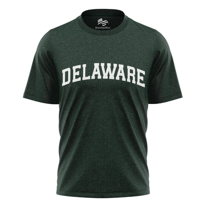 Delaware Comfort Colors Tee | State Pride Souvenir Shirt