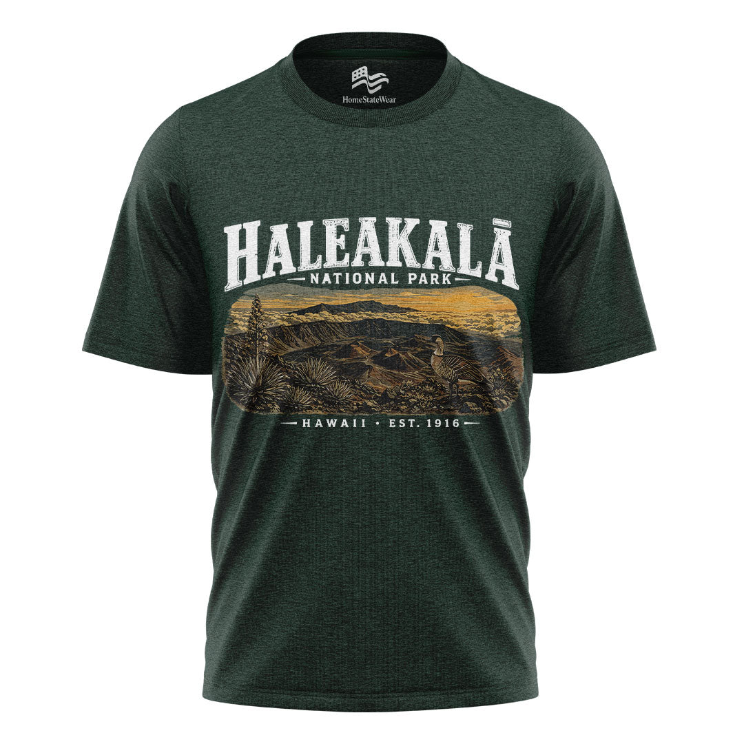 Haleakala National Park Vintage Maui Volcano Sunset Shirt