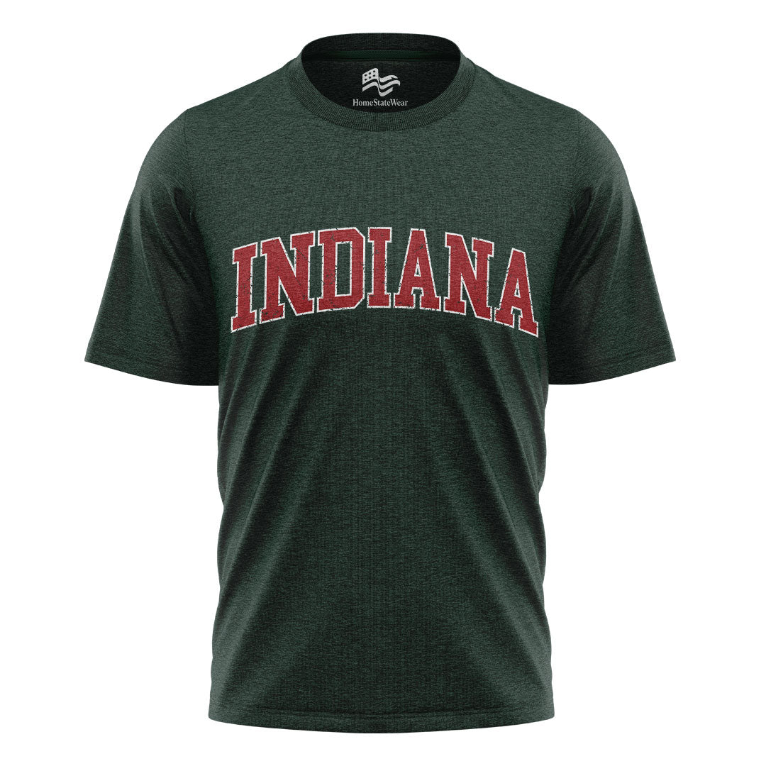 Indiana Varsity Comfort Colors T-Shirt, Distressed Football Graphic Tee