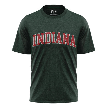 Indiana Varsity Comfort Colors T-Shirt, Distressed Football Graphic Tee