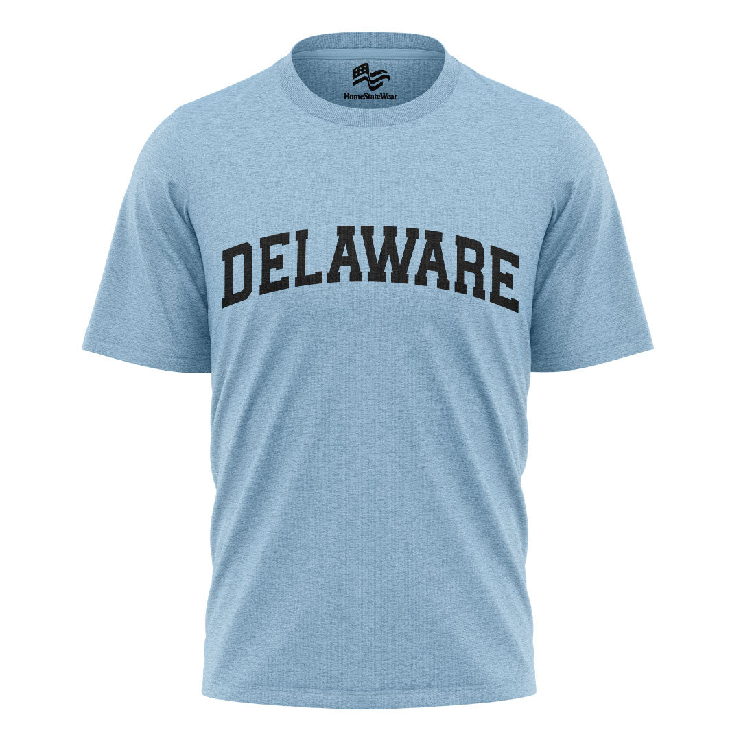 Delaware Comfort Colors Tee | State Pride Souvenir Shirt