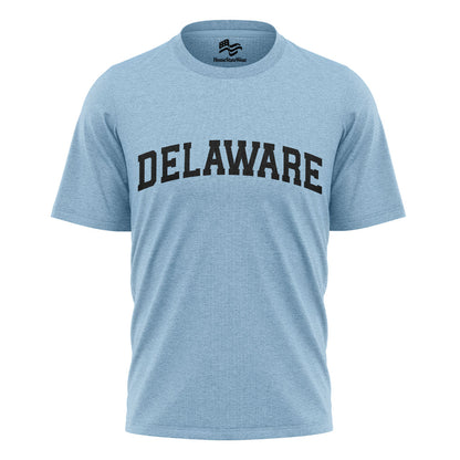 Delaware Comfort Colors Tee | State Pride Souvenir Shirt
