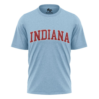 Indiana Varsity Comfort Colors T-Shirt, Distressed Football Graphic Tee