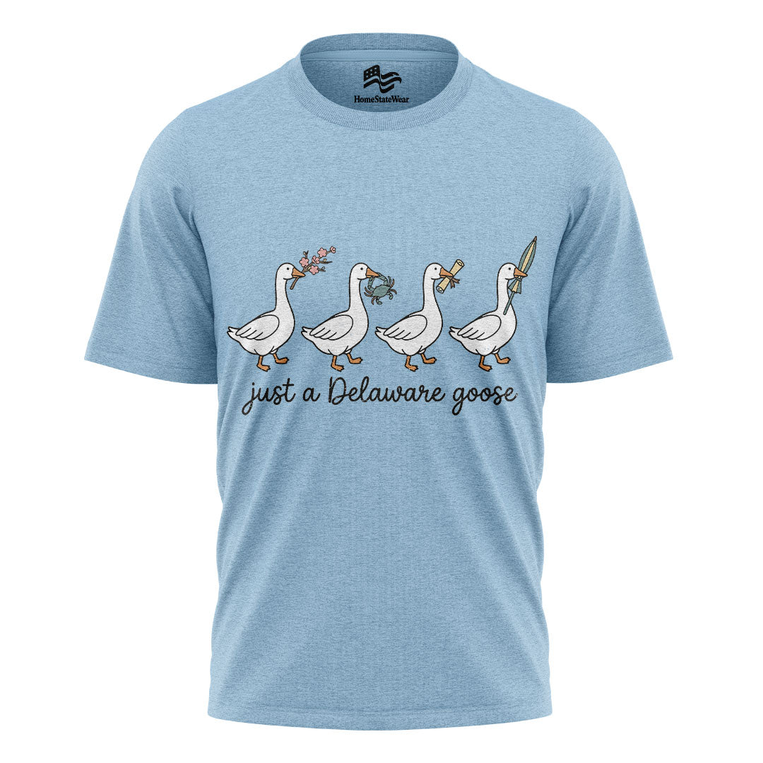 Delaware Goose Comfort Colors Tee | Whimsical Bird Graphic Shirt