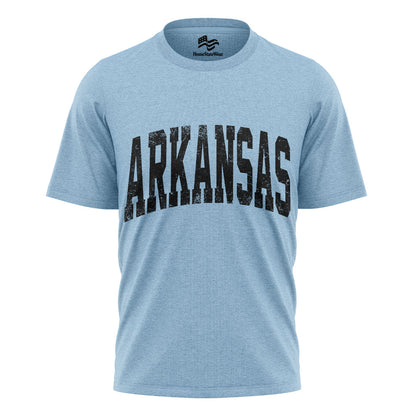 Vintage Arkansas T-shirt, Game Day Football Gift Shirt