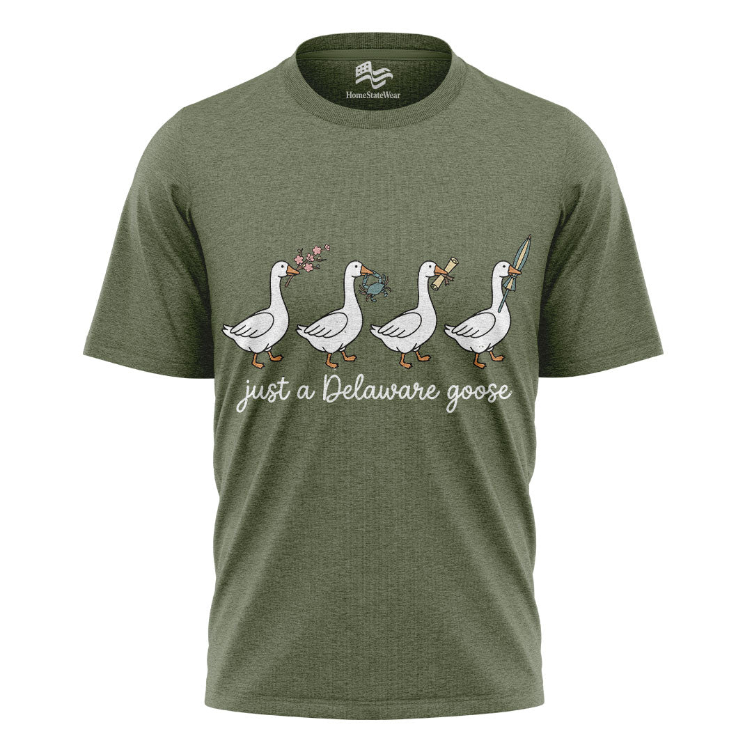 Delaware Goose Comfort Colors Tee | Whimsical Bird Graphic Shirt