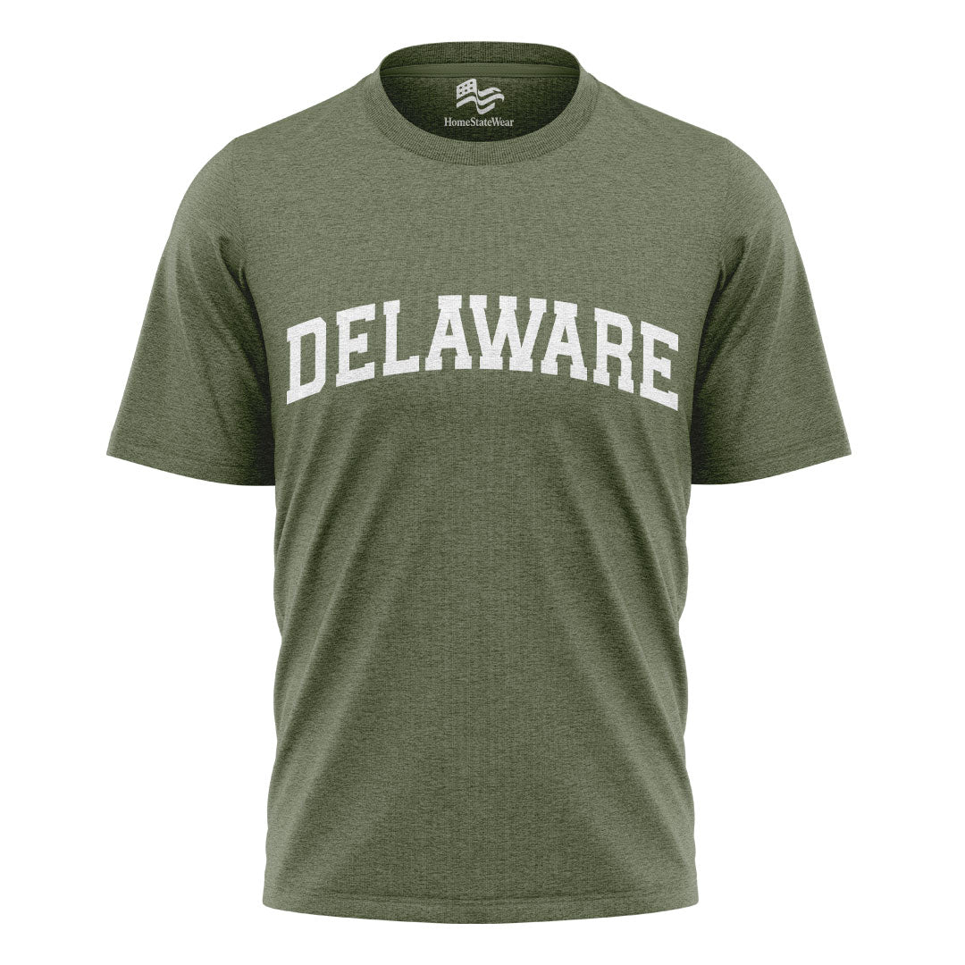 Delaware Comfort Colors Tee | State Pride Souvenir Shirt