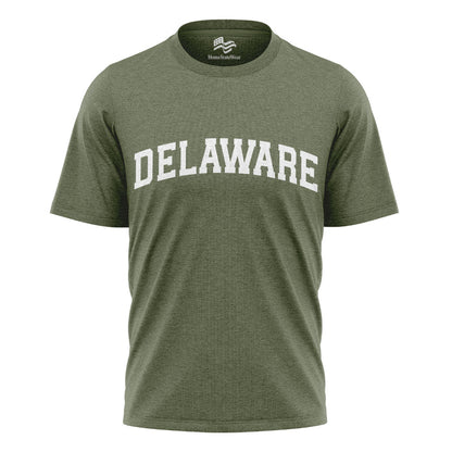 Delaware Comfort Colors Tee | State Pride Souvenir Shirt