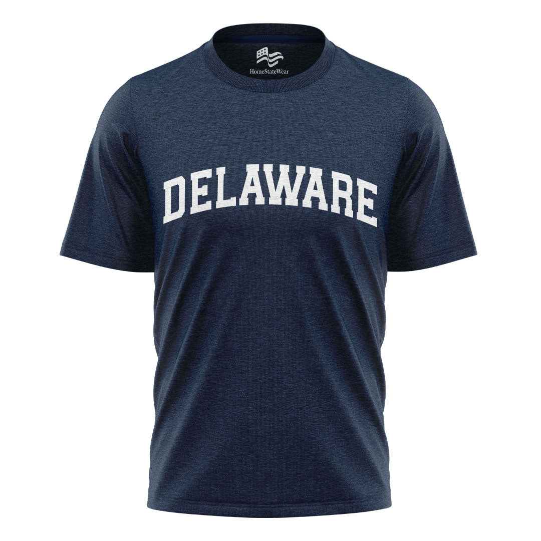 Delaware Comfort Colors Tee | State Pride Souvenir Shirt