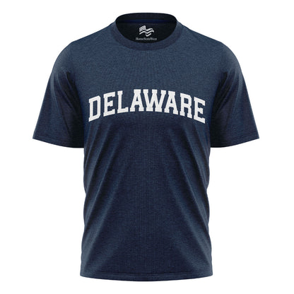 Delaware Comfort Colors Tee | State Pride Souvenir Shirt
