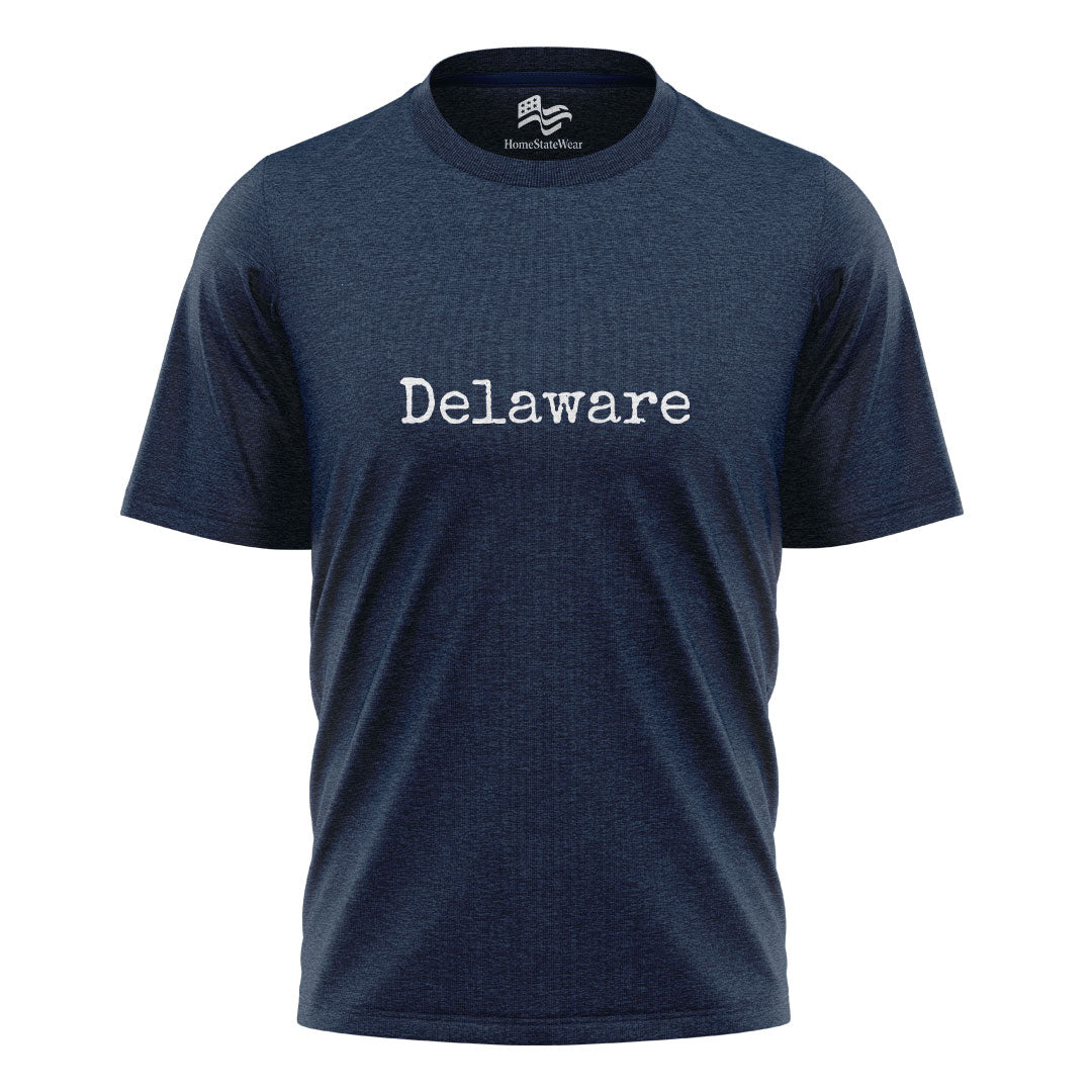 Delaware Comfort Colors Tee | Retro Beach State Shirt