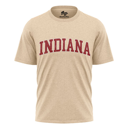 Indiana Varsity Comfort Colors T-Shirt, Distressed Football Graphic Tee