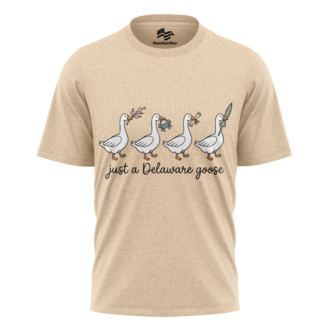 Delaware Goose Comfort Colors Tee | Whimsical Bird Graphic Shirt