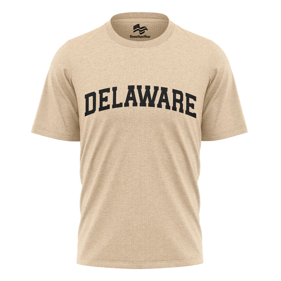 Delaware Comfort Colors Tee | State Pride Souvenir Shirt