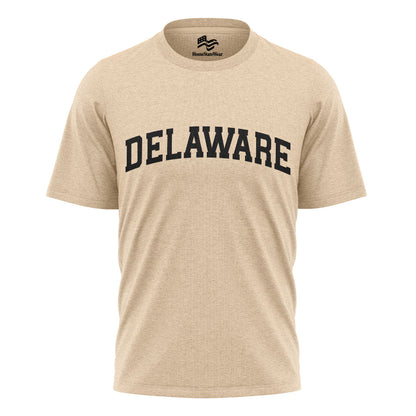 Delaware Comfort Colors Tee | State Pride Souvenir Shirt
