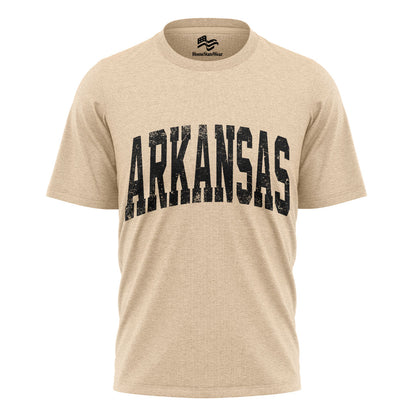 Vintage Arkansas T-shirt, Game Day Football Gift Shirt