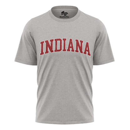 Indiana Varsity Comfort Colors T-Shirt, Distressed Football Graphic Tee