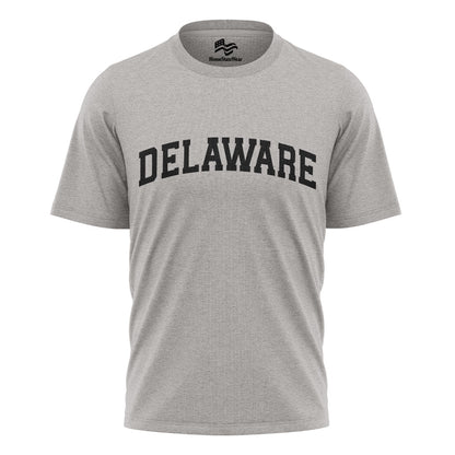 Delaware Comfort Colors Tee | State Pride Souvenir Shirt